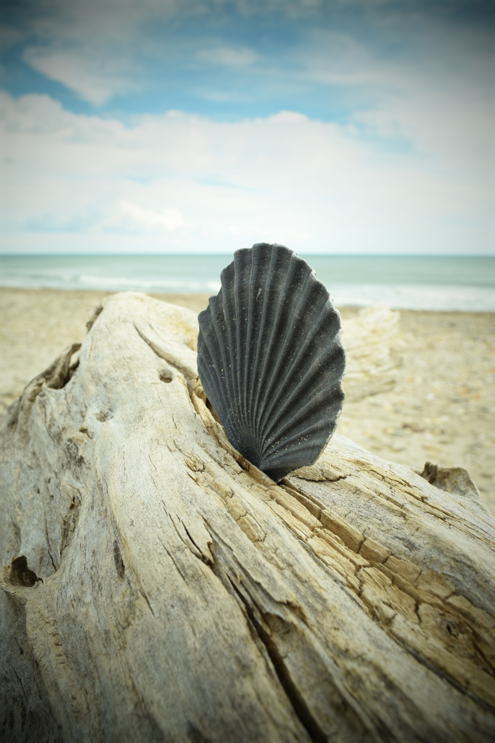 Nikon D5300 sample photo. Beach06 photography