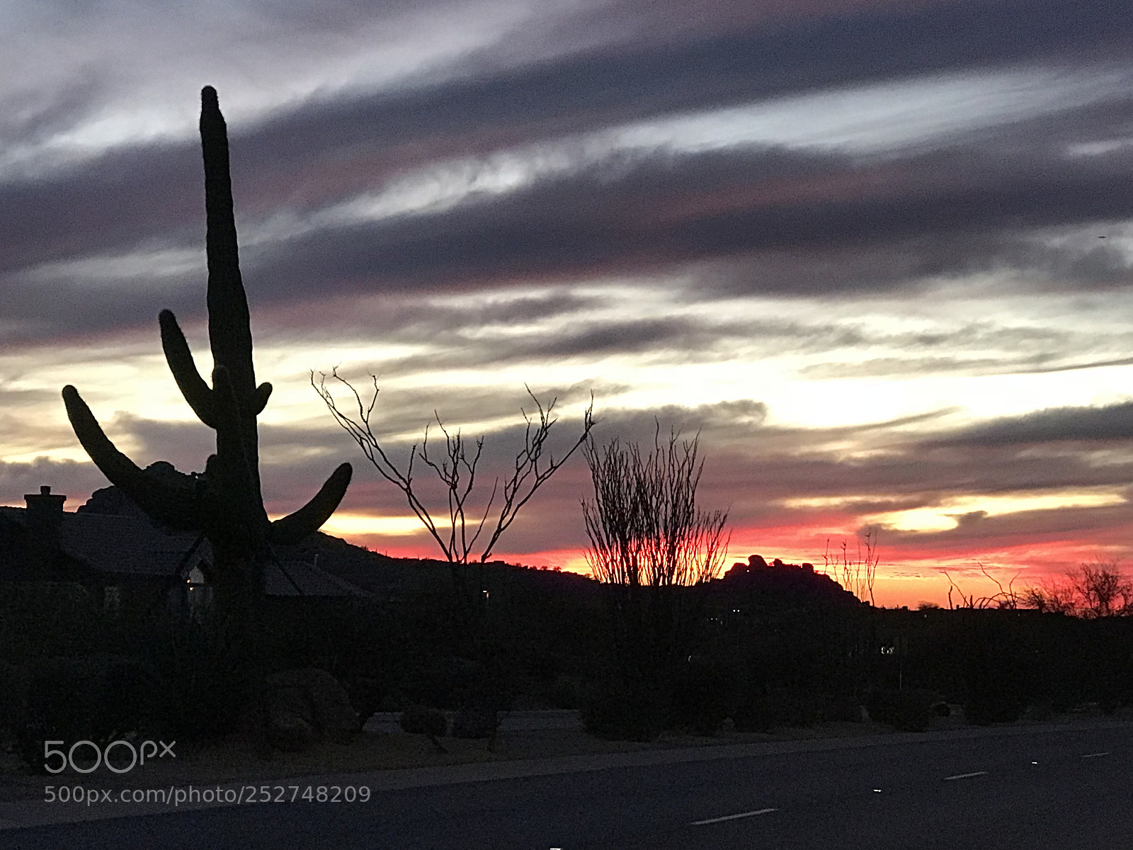 Apple iPhone 7 Plus sample photo. Desert sunset photography