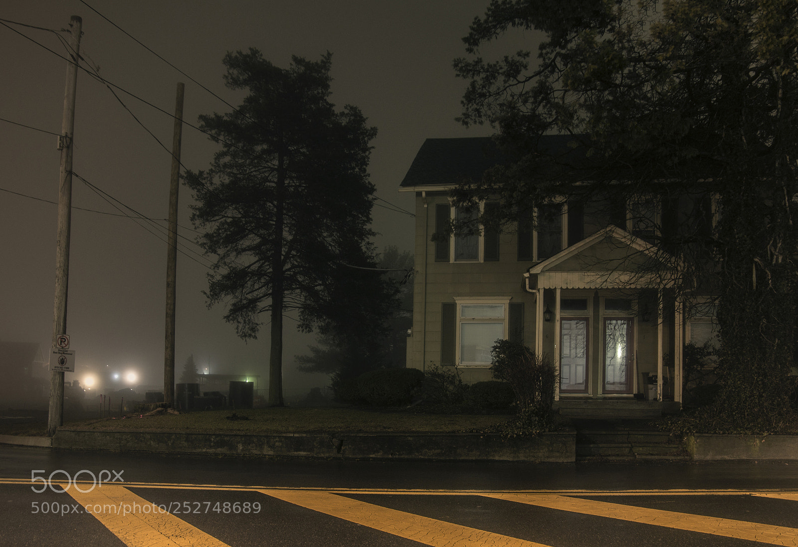 Nikon D7100 sample photo. Yellow stripes photography