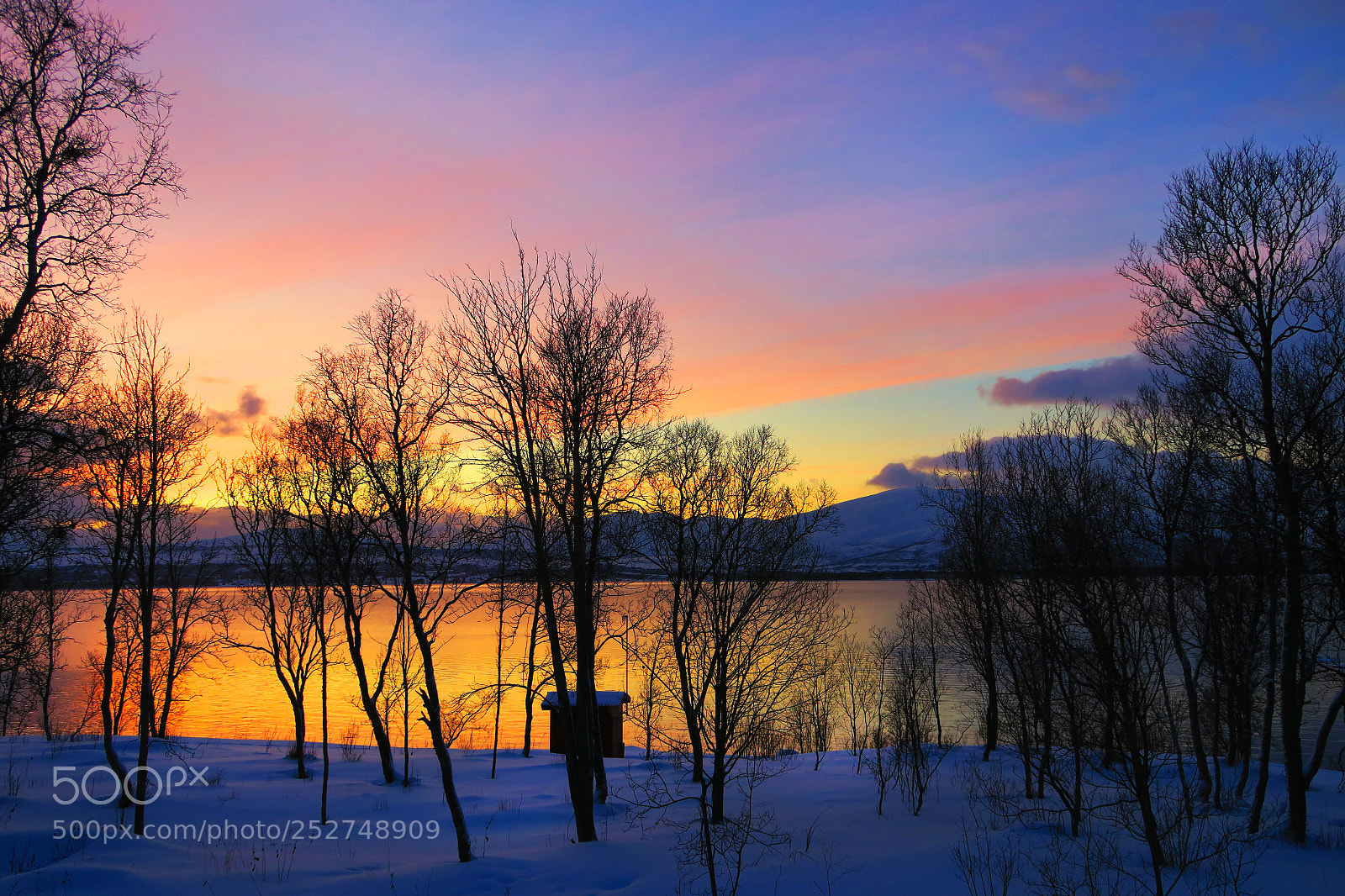 Canon PowerShot G7 X sample photo. Taken in tromsø, norway photography