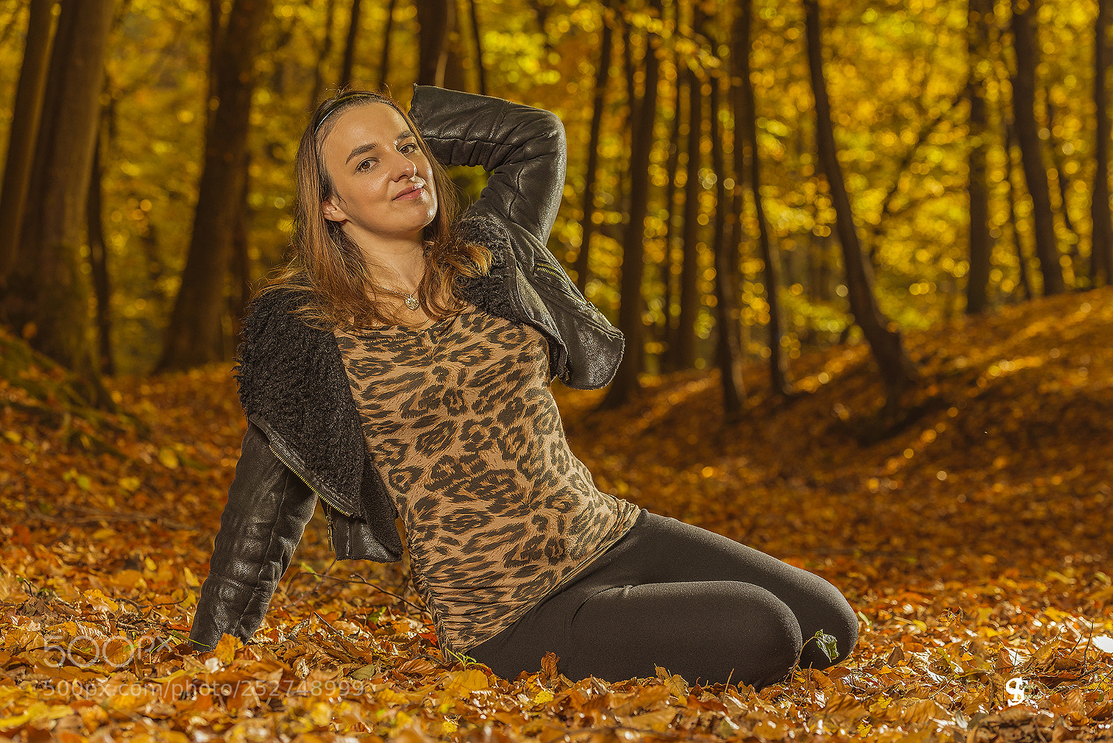 Nikon D800 sample photo. Herbstzauber wald photography
