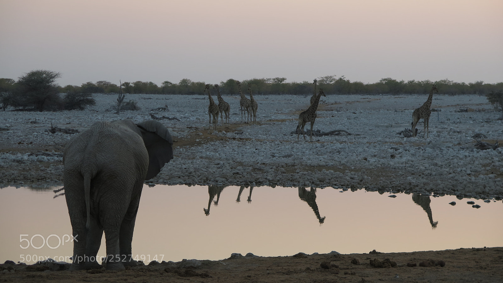 Canon PowerShot G16 sample photo. Namibia photography