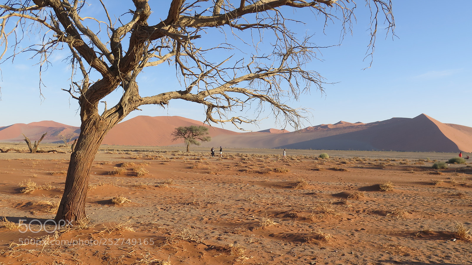 Canon PowerShot G16 sample photo. Namibia photography