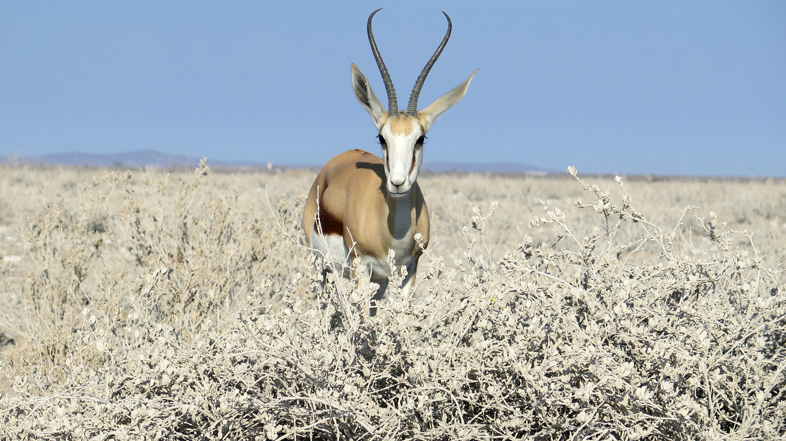 Canon PowerShot G16 sample photo. Namibia photography