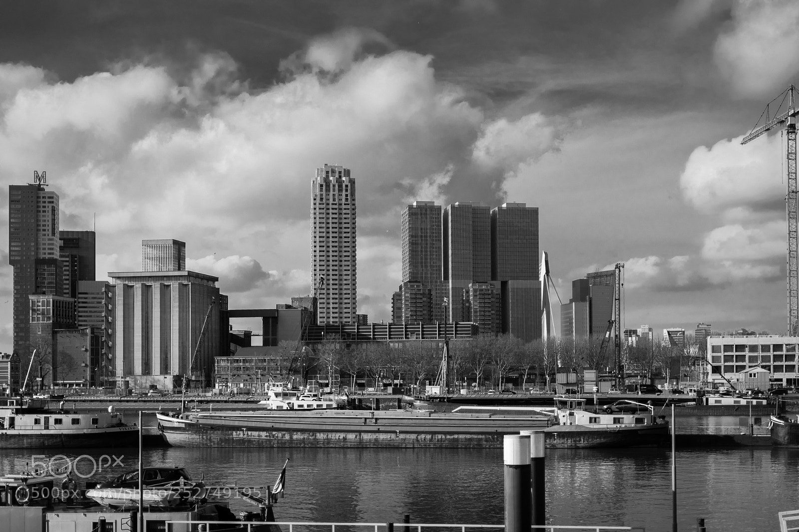 Nikon D5300 sample photo. The river maas photography