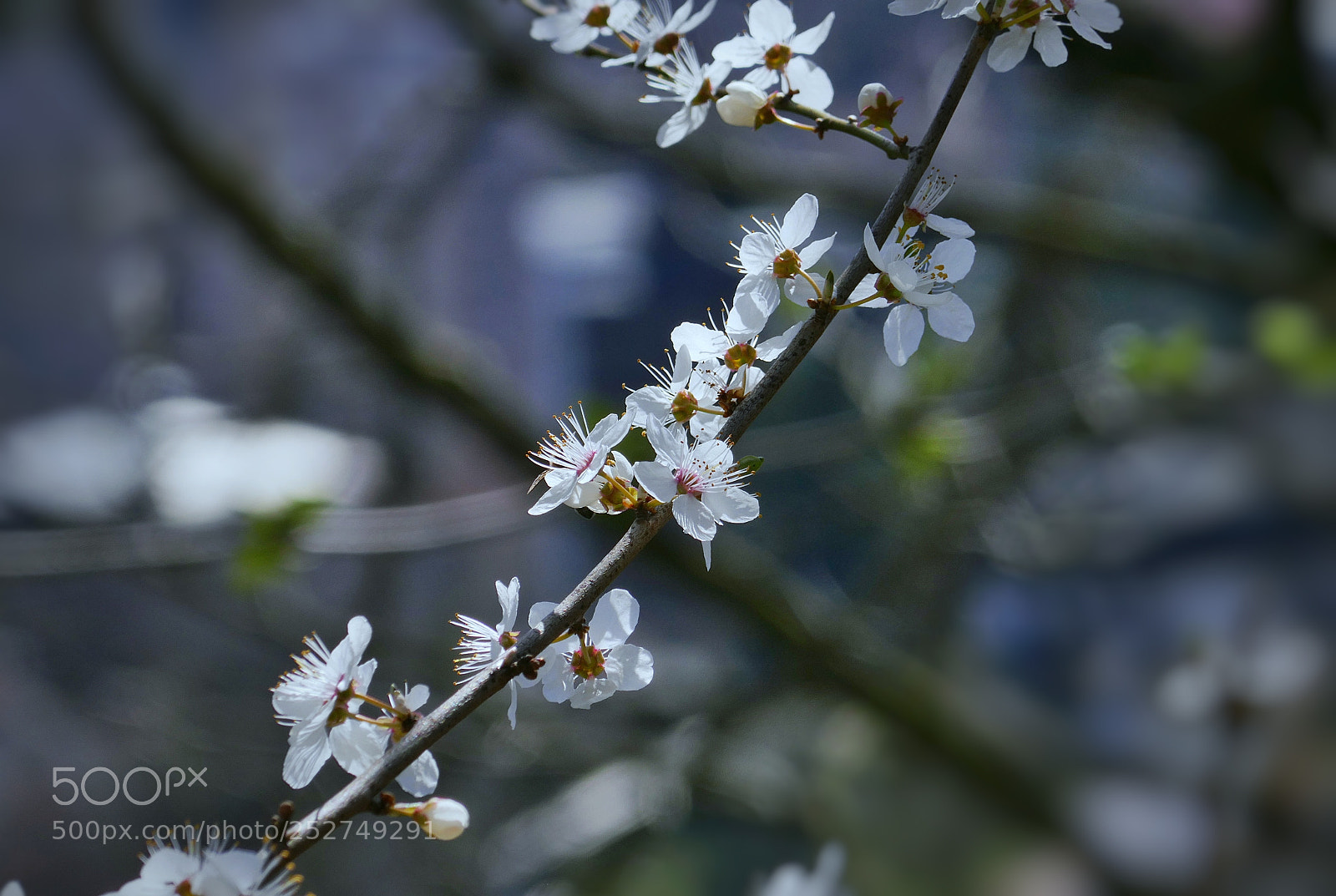 Panasonic Lumix DMC-ZS100 (Lumix DMC-TZ100) sample photo. Formation photography