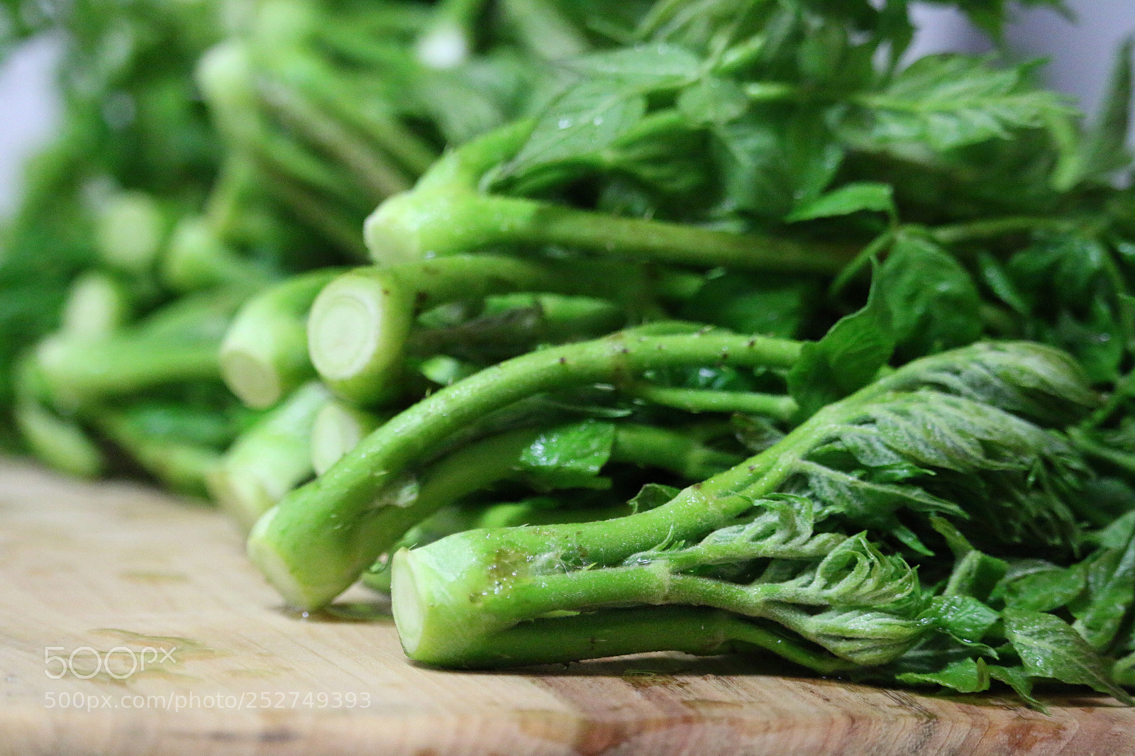 Canon EOS 70D sample photo. 두릅 photography