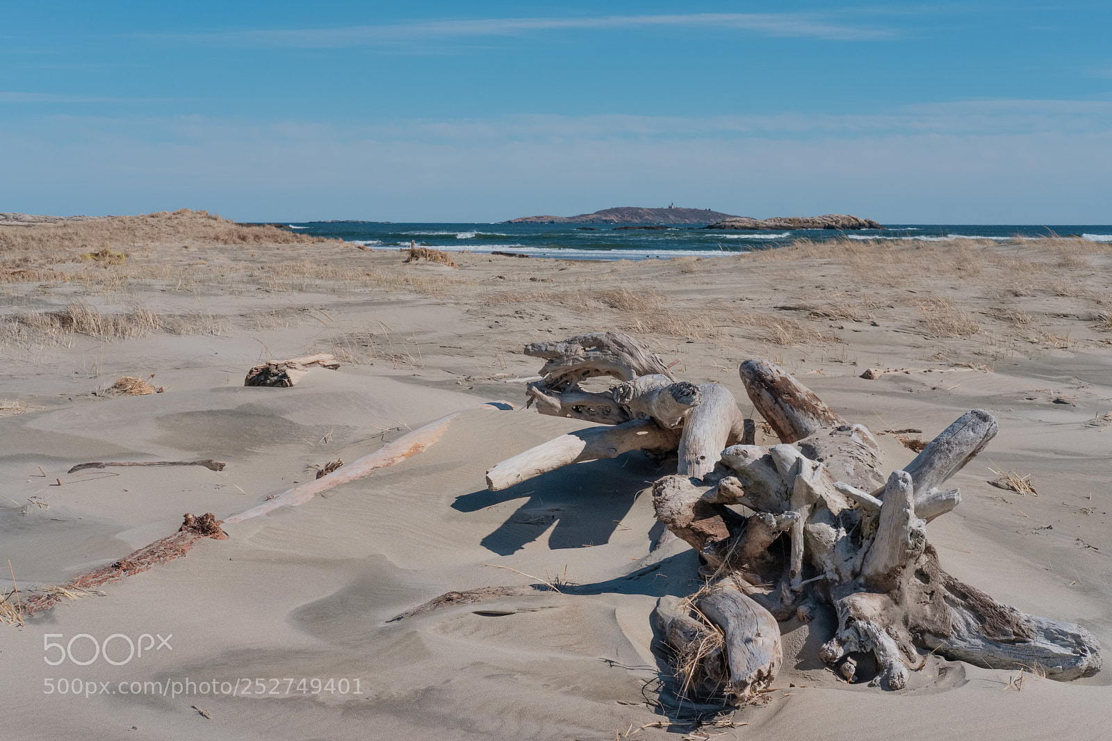 Fujifilm X-Pro2 sample photo. Popham beach photography
