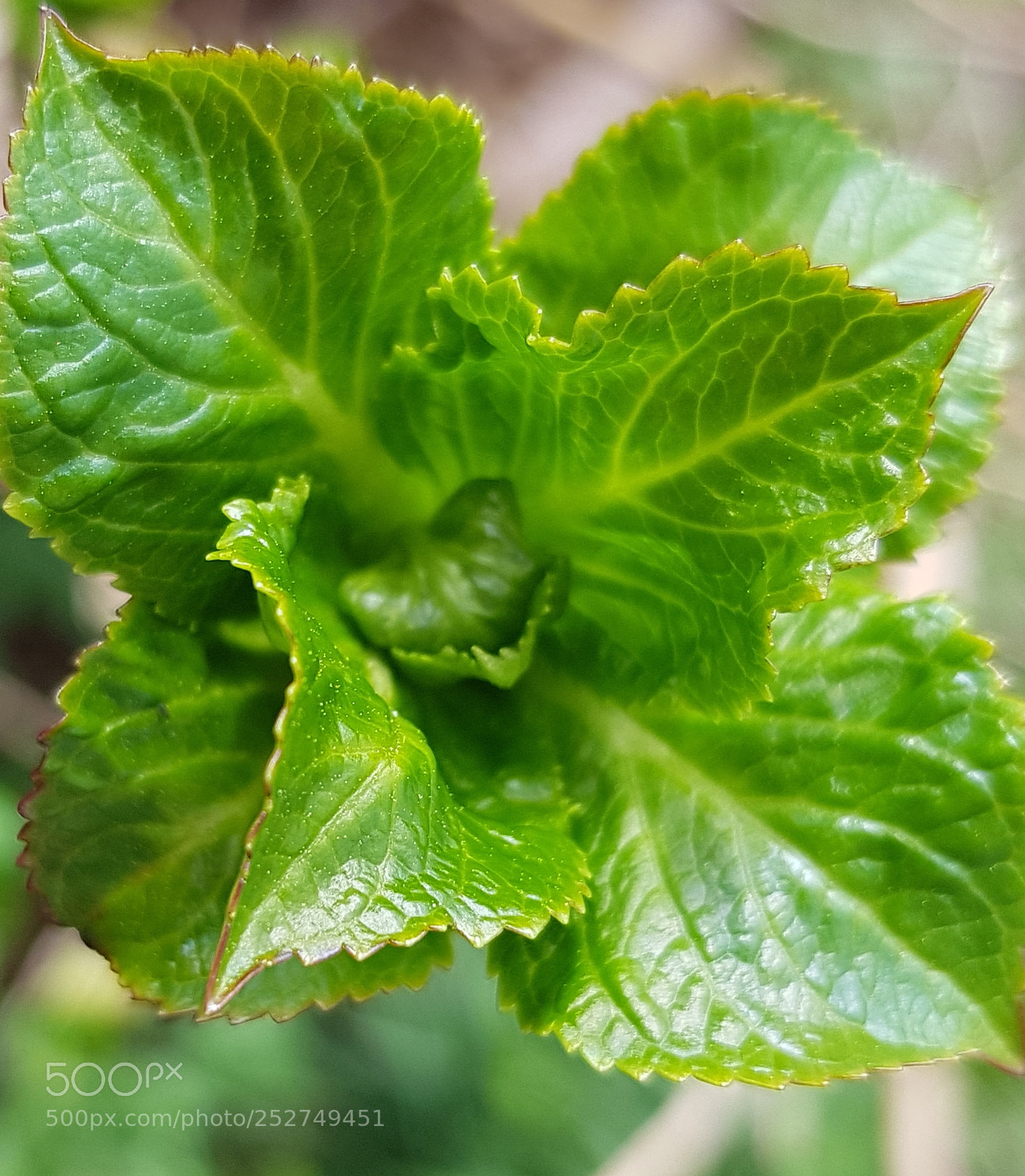 Samsung Galaxy S8+ sample photo. Untitled photography