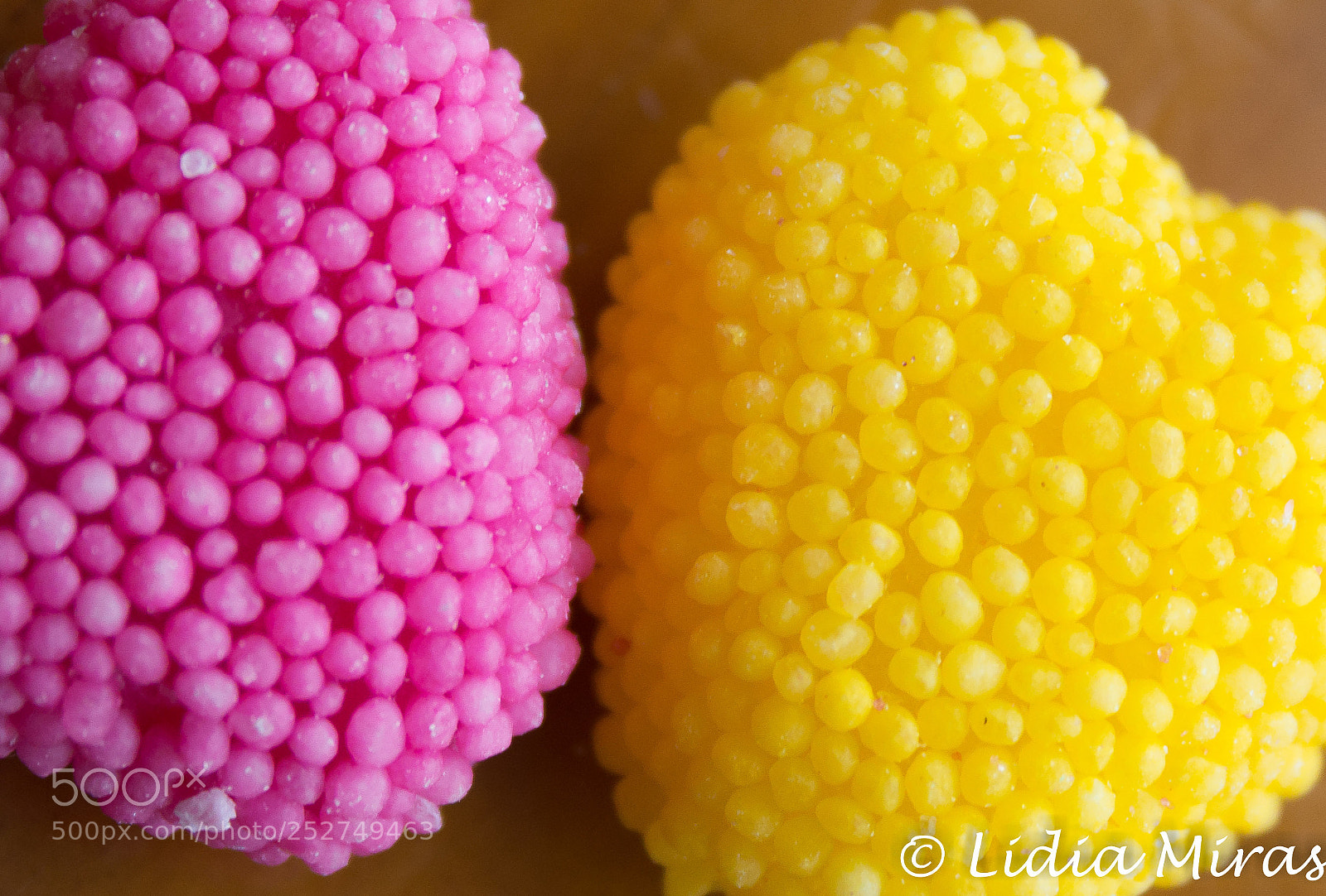 Canon EOS 700D (EOS Rebel T5i / EOS Kiss X7i) sample photo. Textures photography