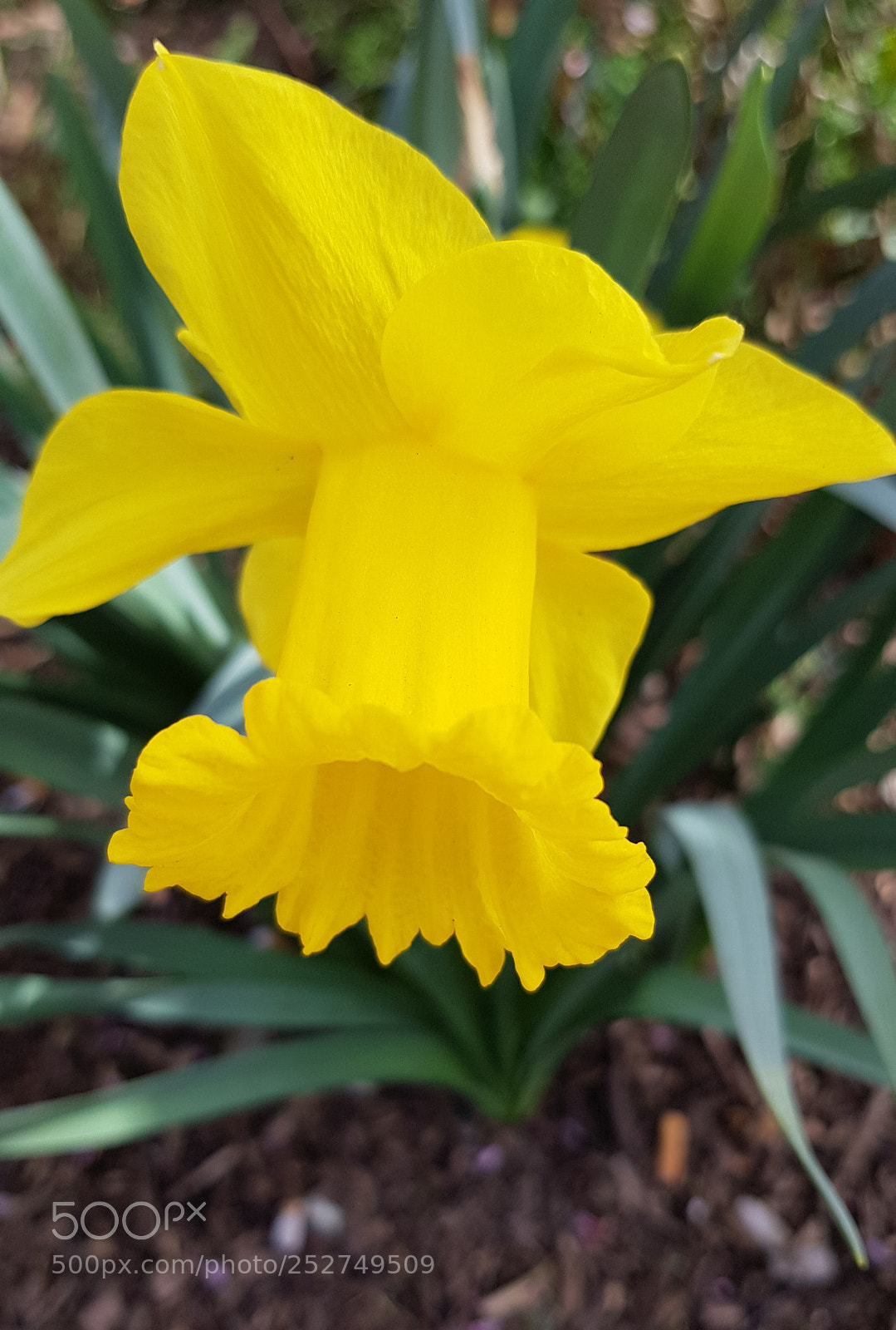 Samsung Galaxy S8+ sample photo. Untitled photography