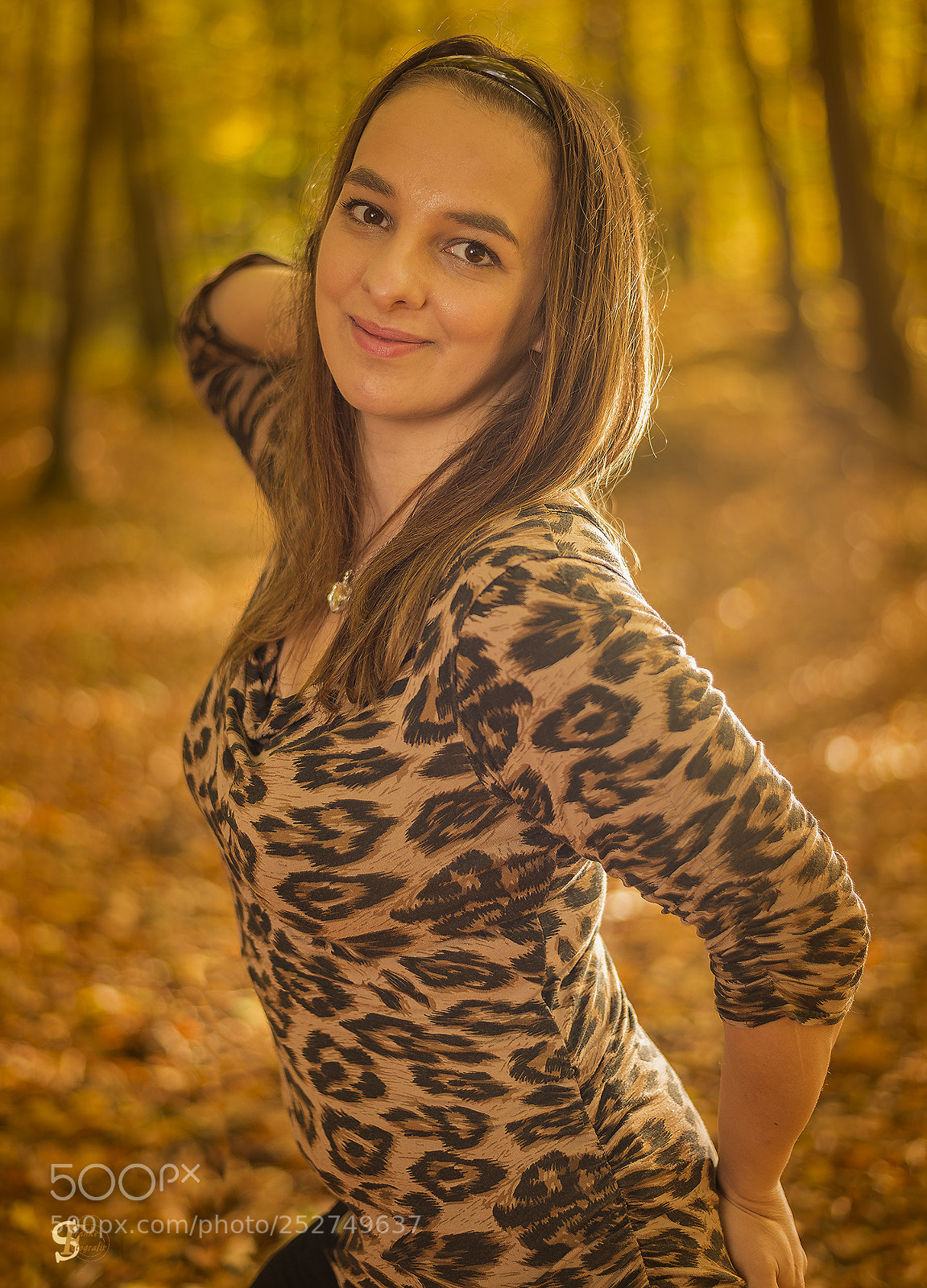 Nikon D800 sample photo. Lichtzauber im herbstwald photography