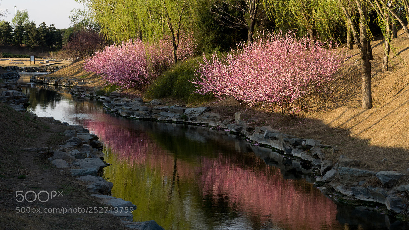 Sony a7 sample photo. Colorful spring #1 photography