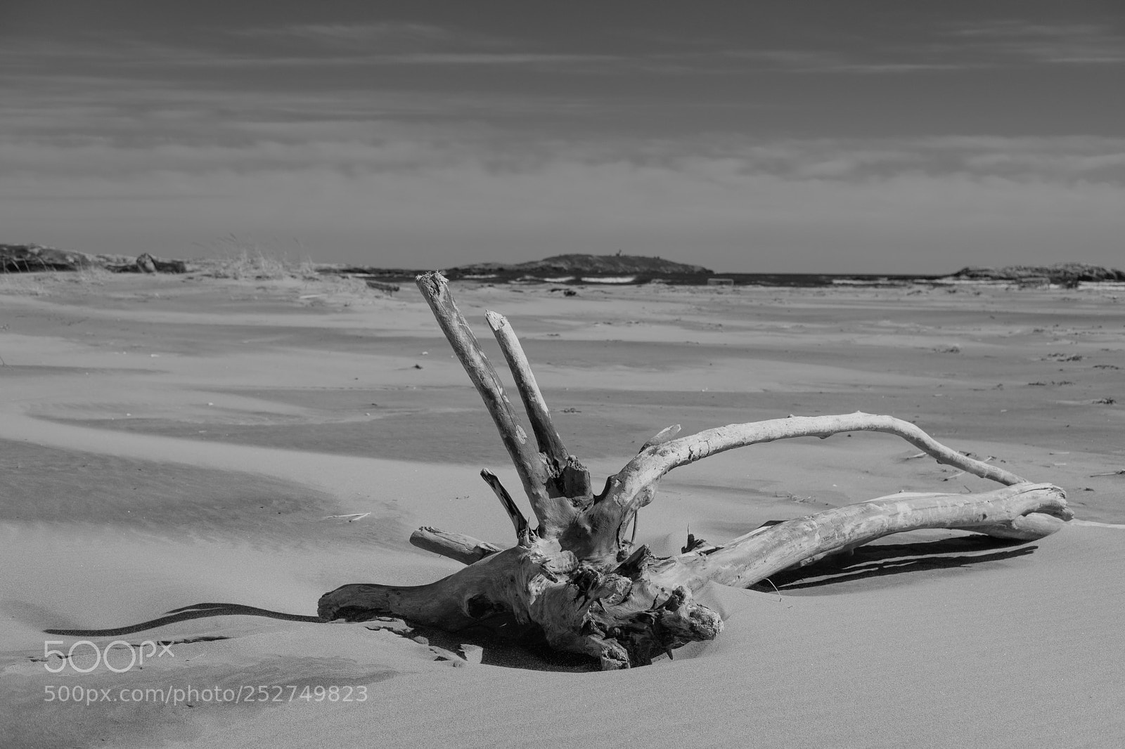 Fujifilm X-Pro2 sample photo. Popham beach photography