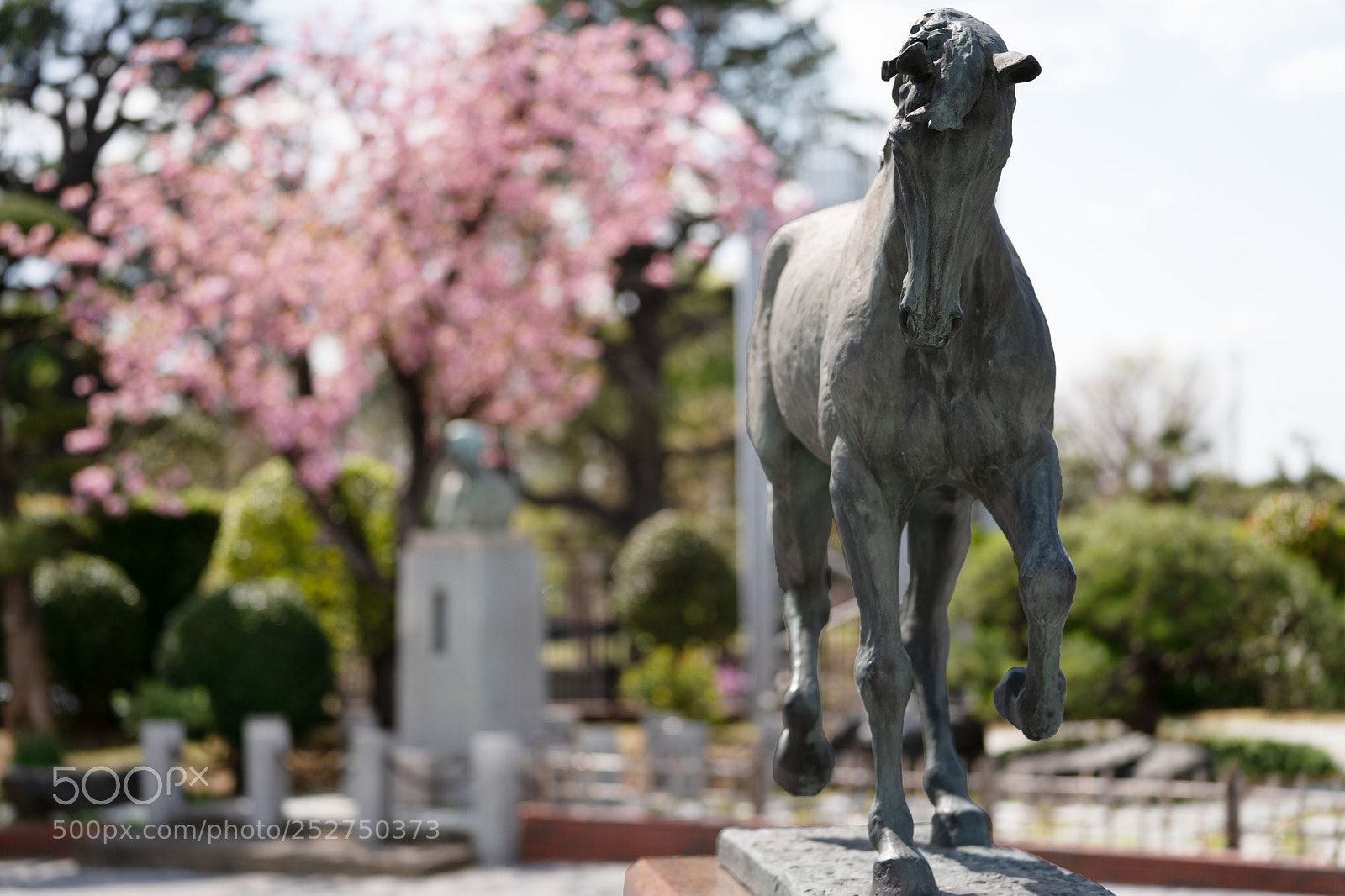 Sony a9 sample photo. Horse bronze statue photography