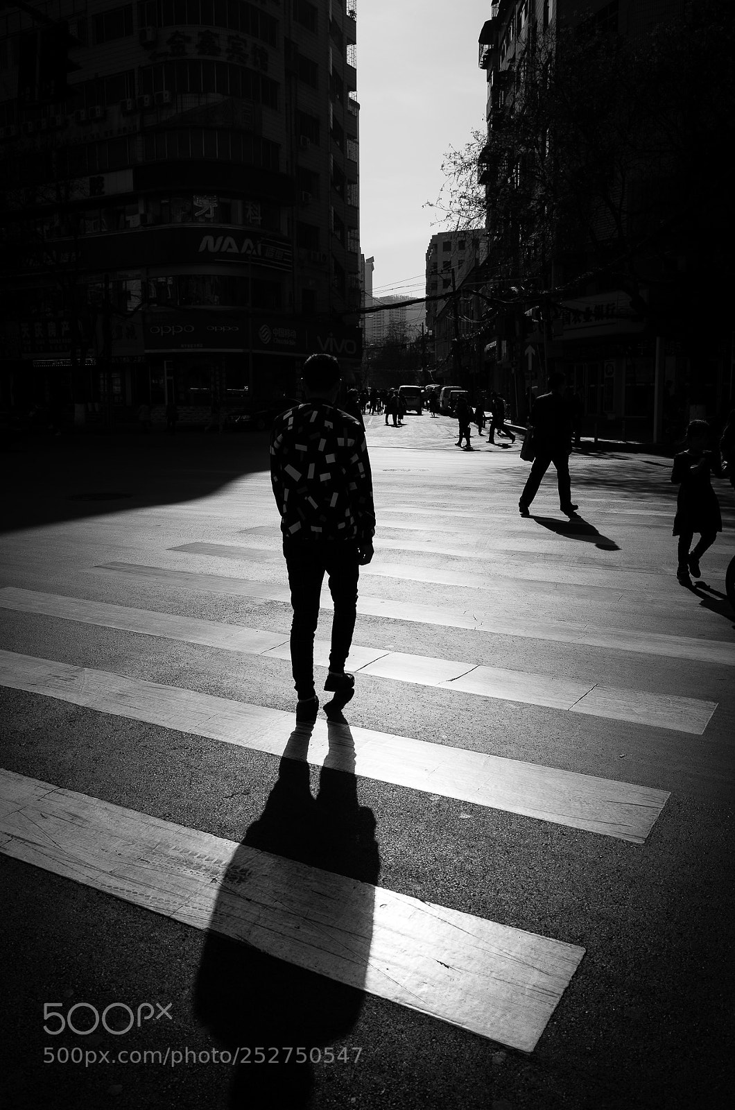 Ricoh GR II sample photo. 《过马路》 photography