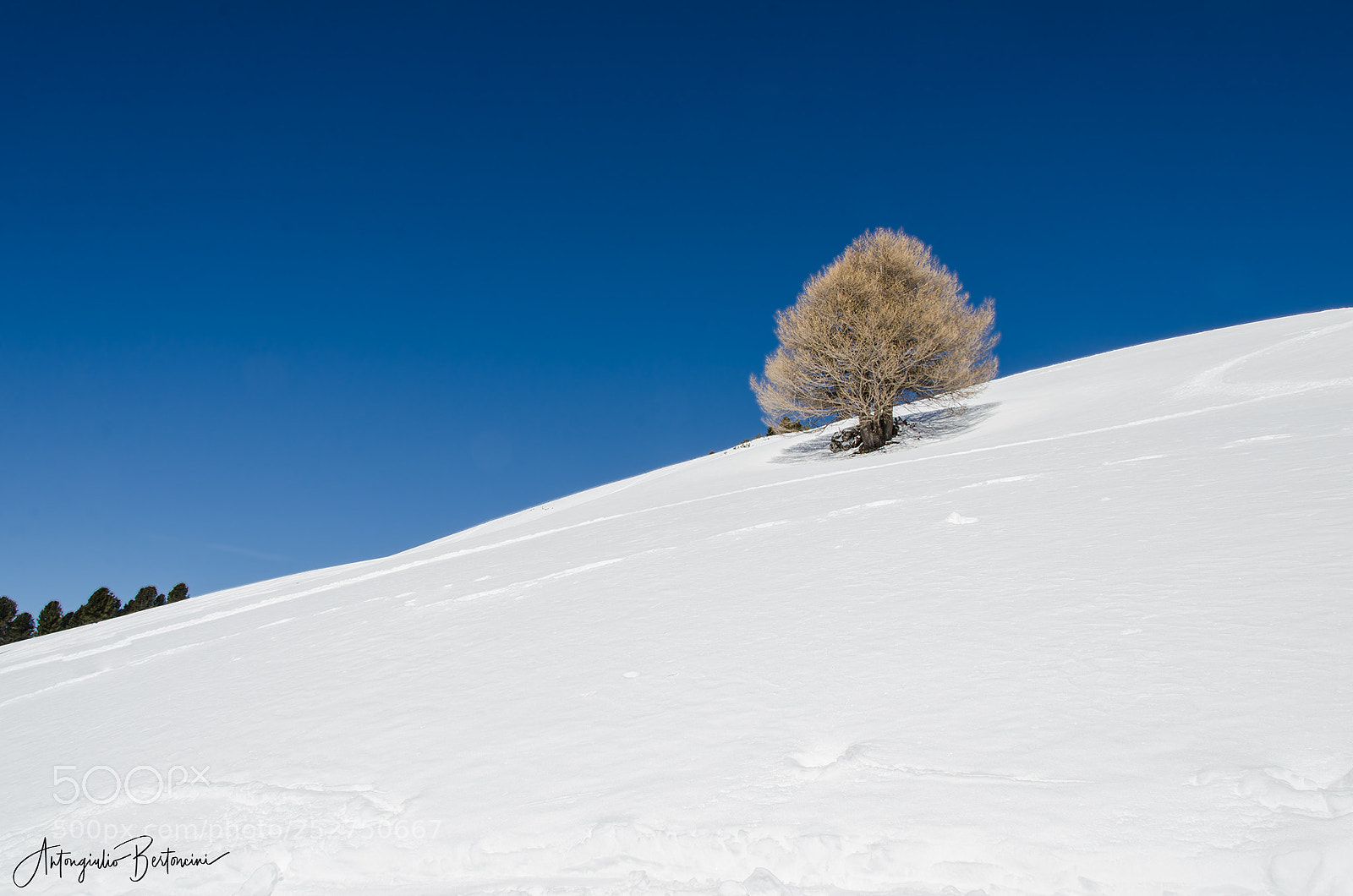 Nikon D7000 sample photo. Alone photography