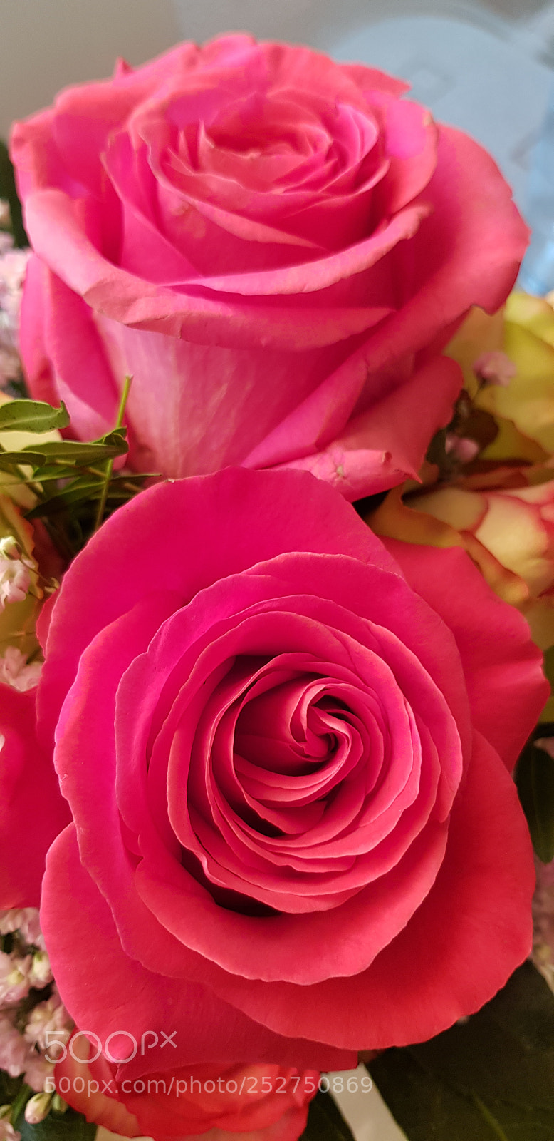 Samsung Galaxy S8+ sample photo. Untitled photography