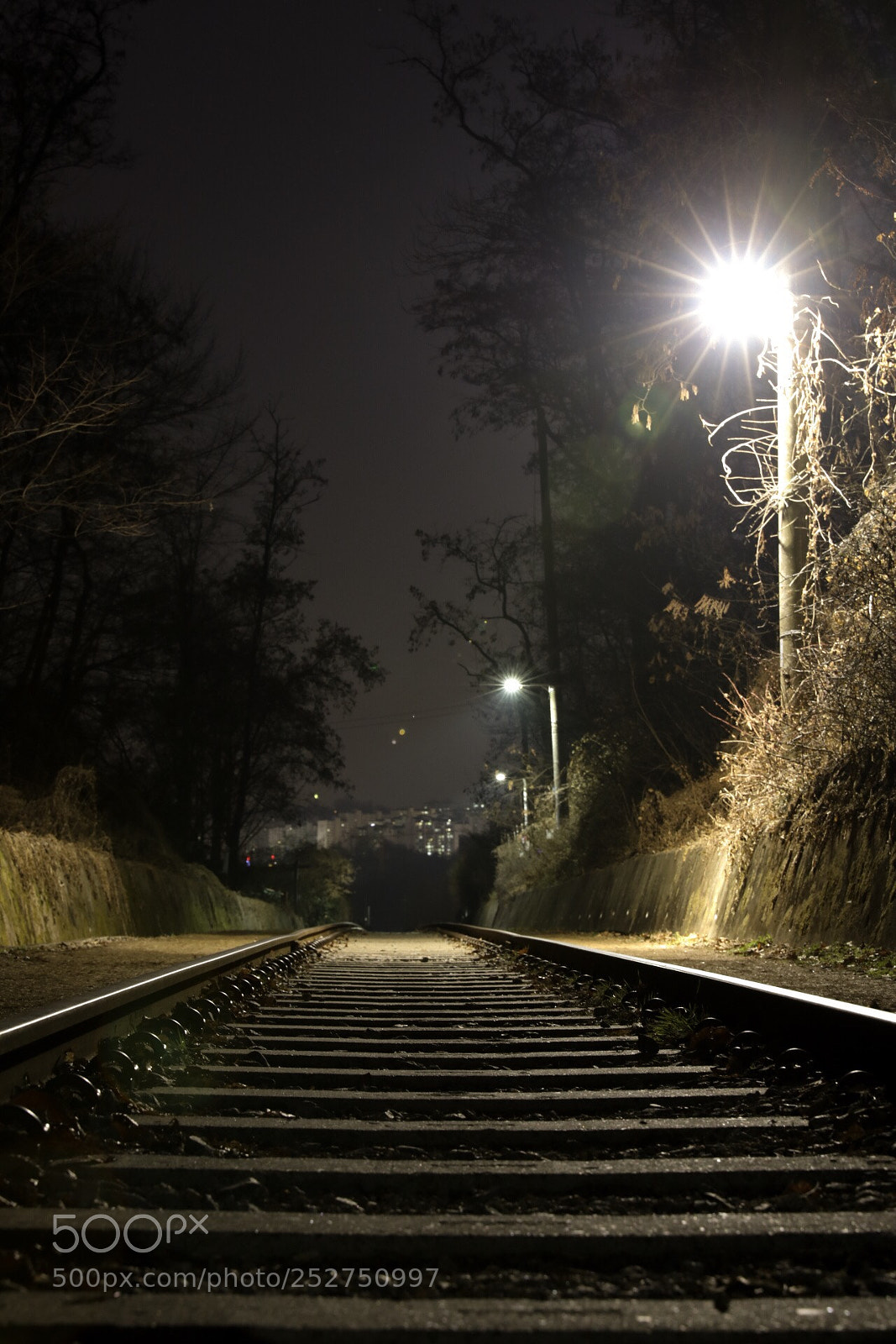 Canon EOS 5D Mark IV sample photo. Untitled photography