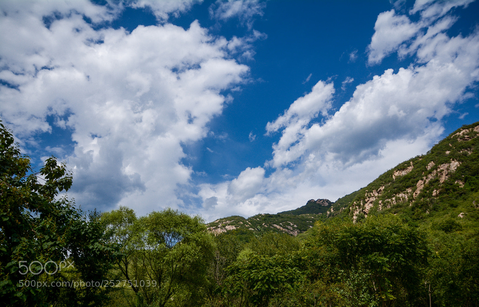 Nikon D7100 sample photo. Hillside in summer photography