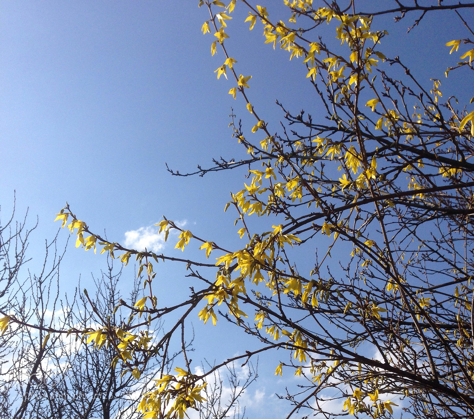 Apple iPhone 5 sample photo. Yellow or blue? photography