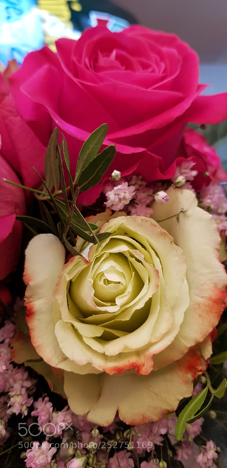Samsung Galaxy S8+ sample photo. Untitled photography