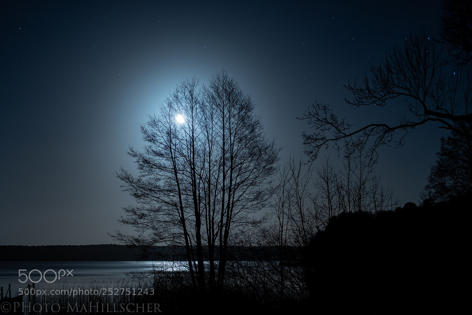 Fujifilm X-T2 sample photo. Moon night, m ritz photography