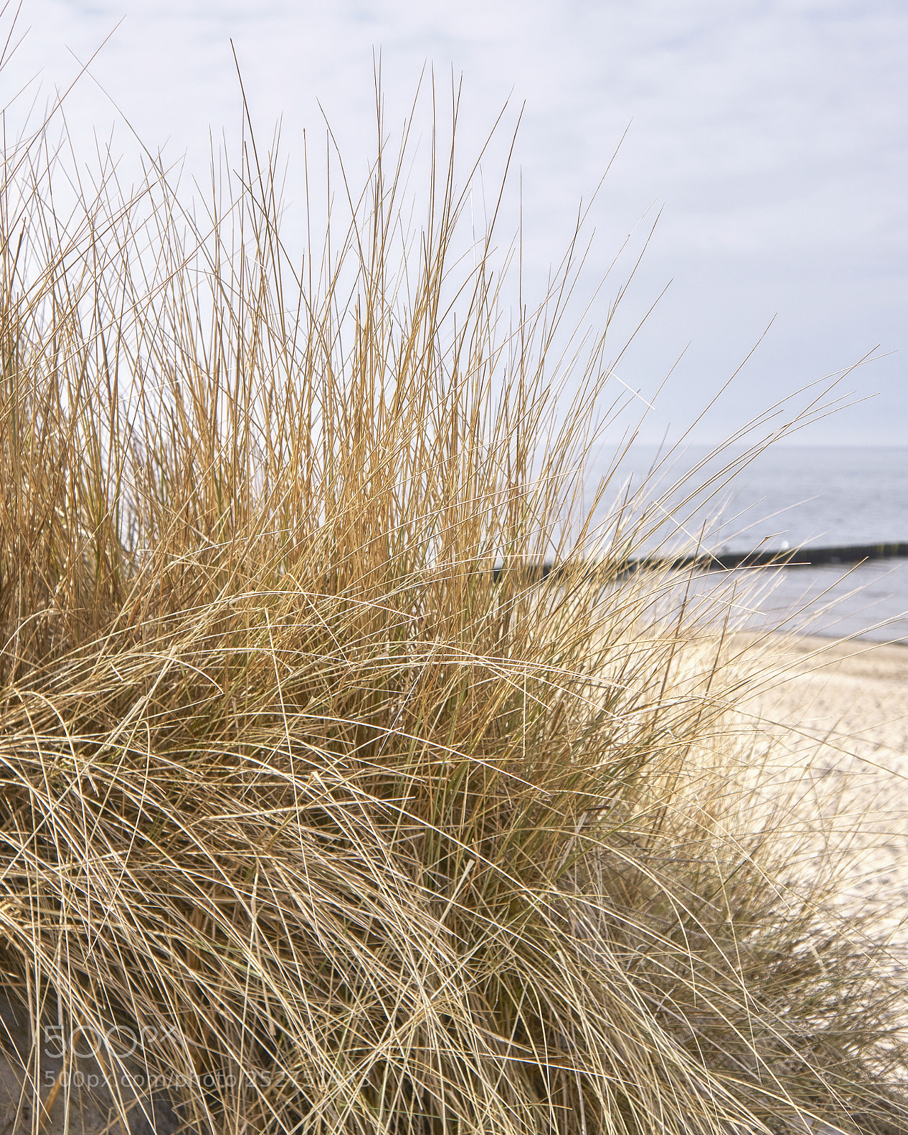 Sony a6000 sample photo. Dünengrass und ostsee photography