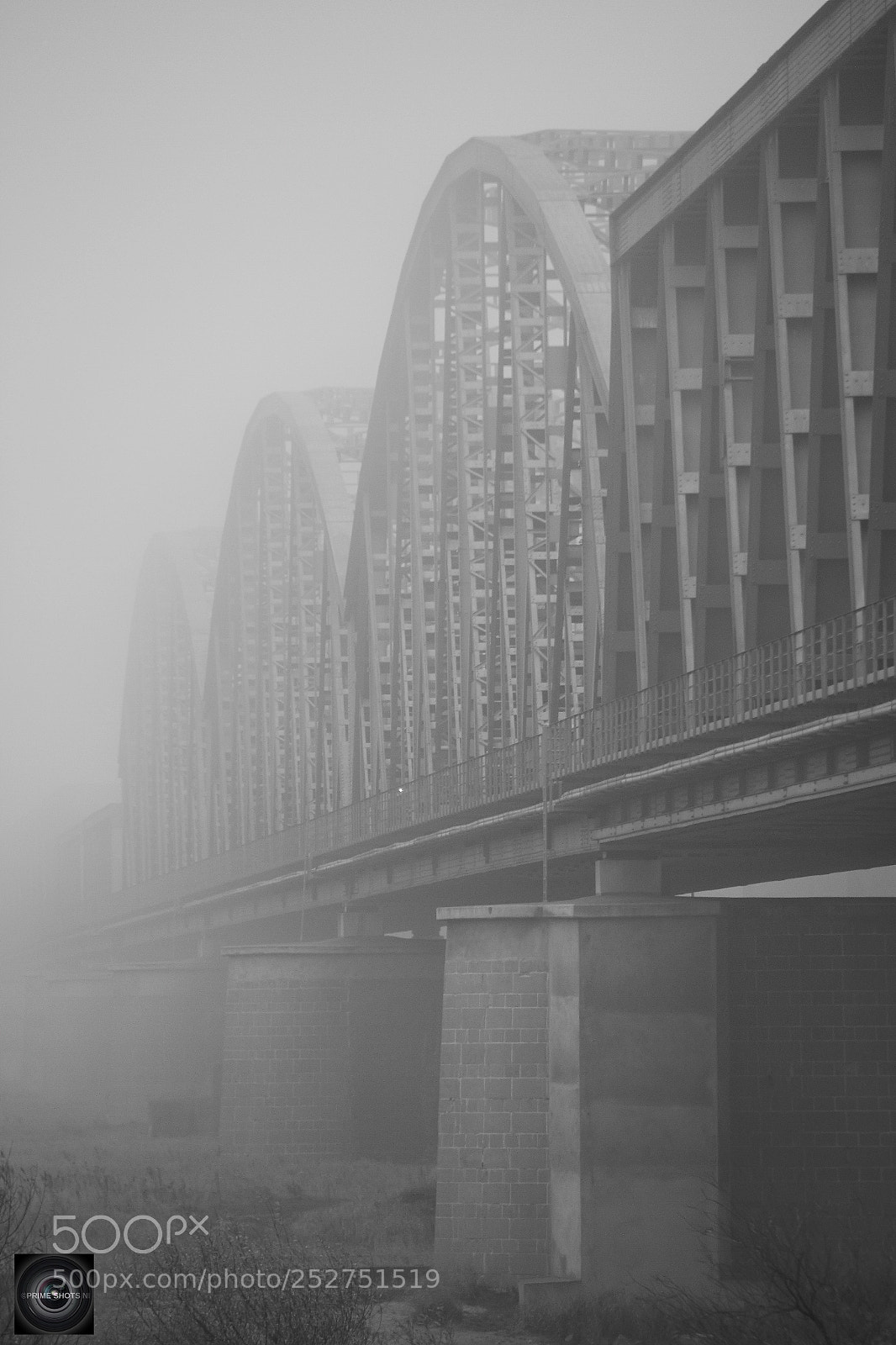 Canon EOS 7D sample photo. Fog photography