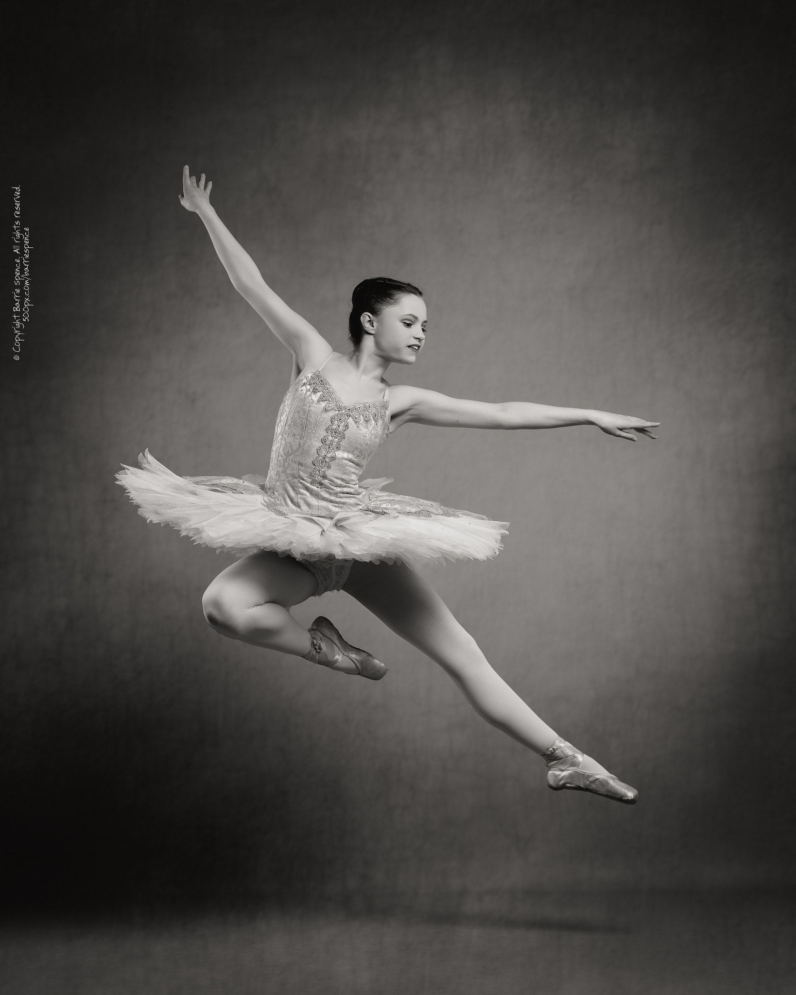 Hasselblad H6D-50C sample photo. Errin godwin-whalley photography