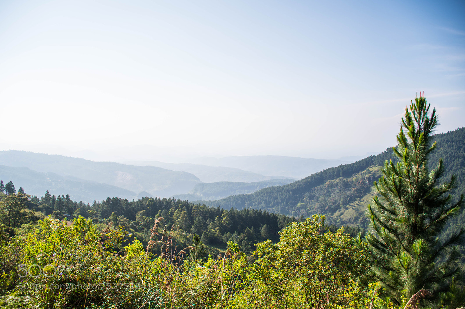 Nikon D7500 sample photo. Haputhale mountains photography
