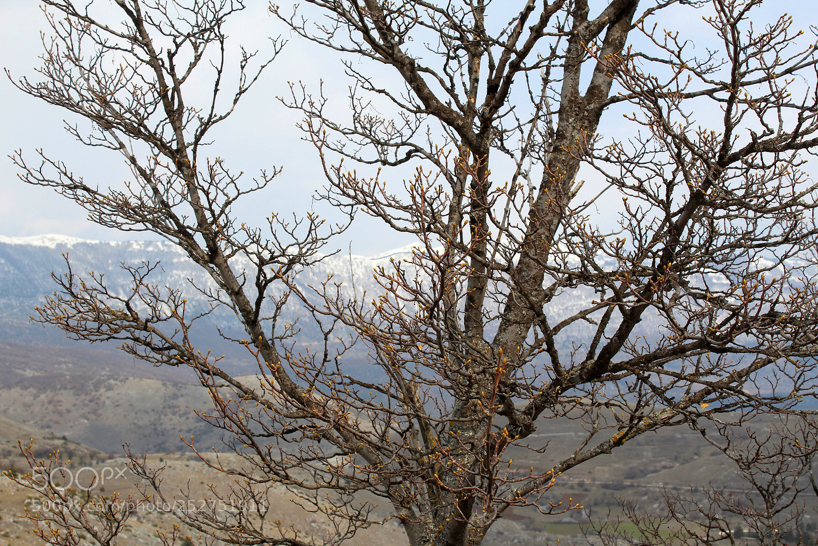Canon EOS 1300D (EOS Rebel T6 / EOS Kiss X80) sample photo. Abruzzo photography