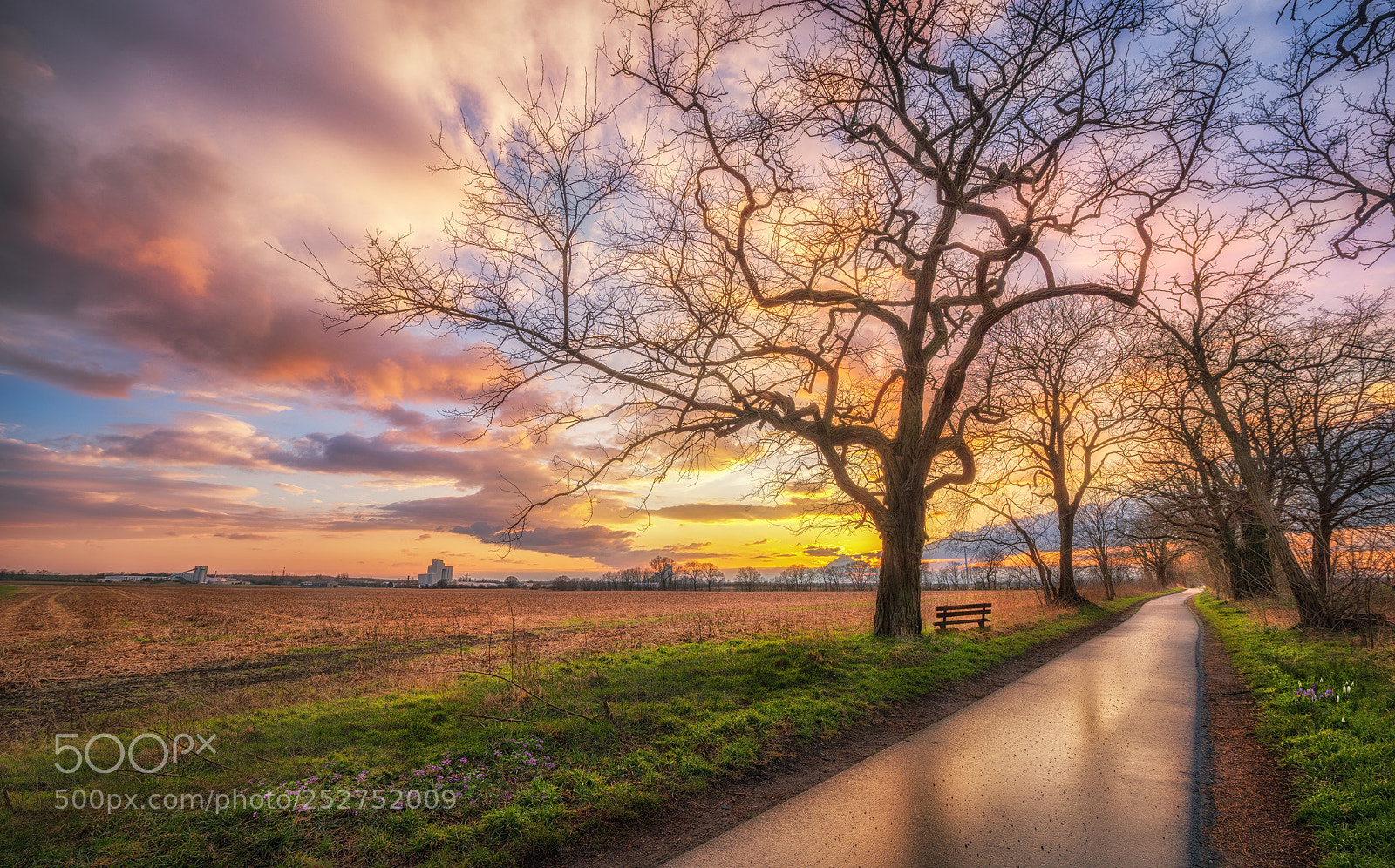 Nikon D810 sample photo. Weg der erholung photography