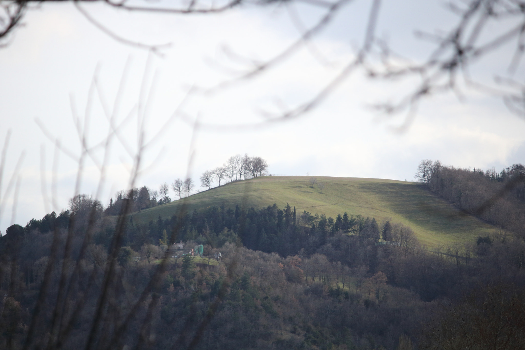 Canon EF-S 55-250mm F4-5.6 IS sample photo