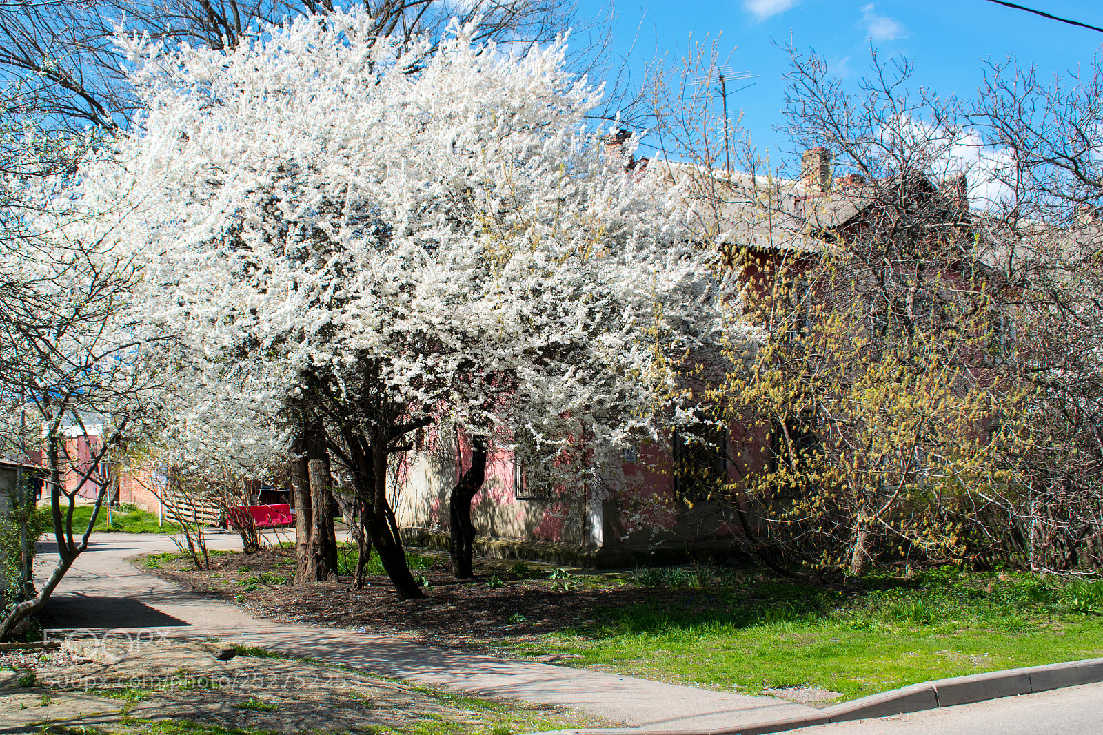 Nikon D5300 sample photo. April acrylic photography