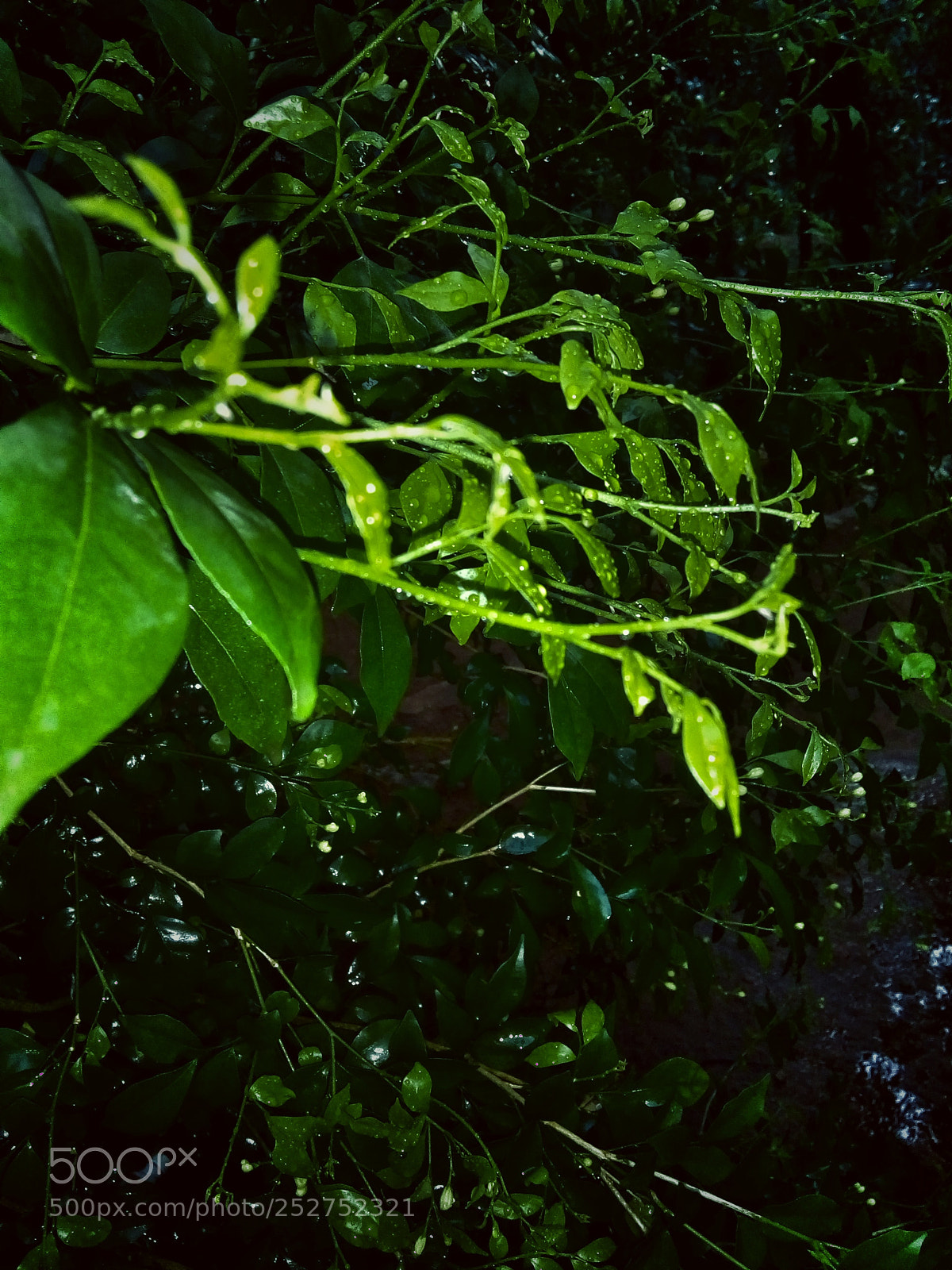 Motorola Moto E4 sample photo. Untitled photography