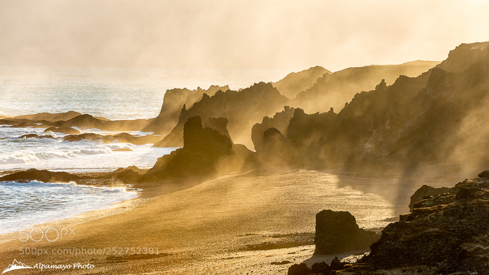 Nikon D800 sample photo. Golden beach photography