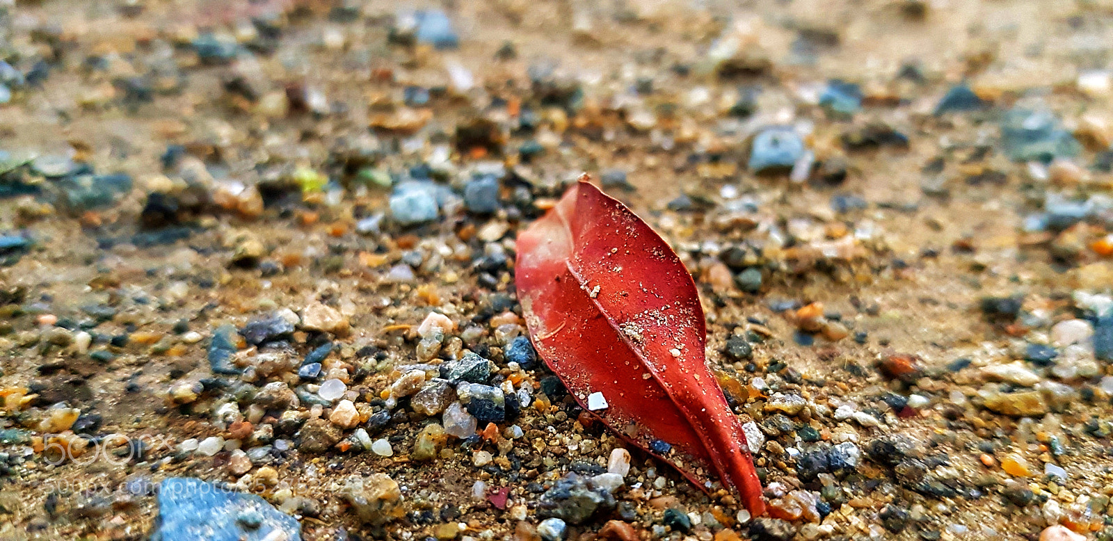 Samsung Galaxy S8+ sample photo. Untitled photography