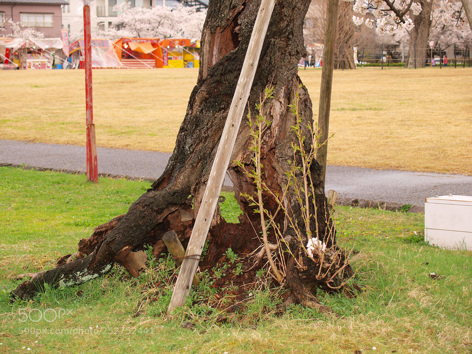 Olympus E-3 sample photo. Another viewfinder photography