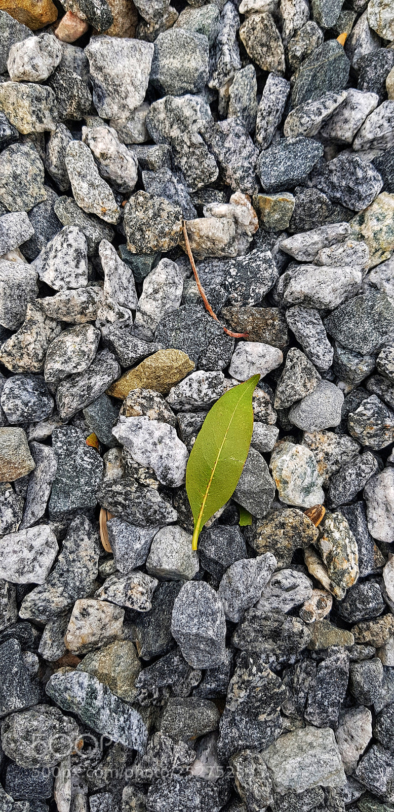 Samsung Galaxy S8+ sample photo. Untitled photography