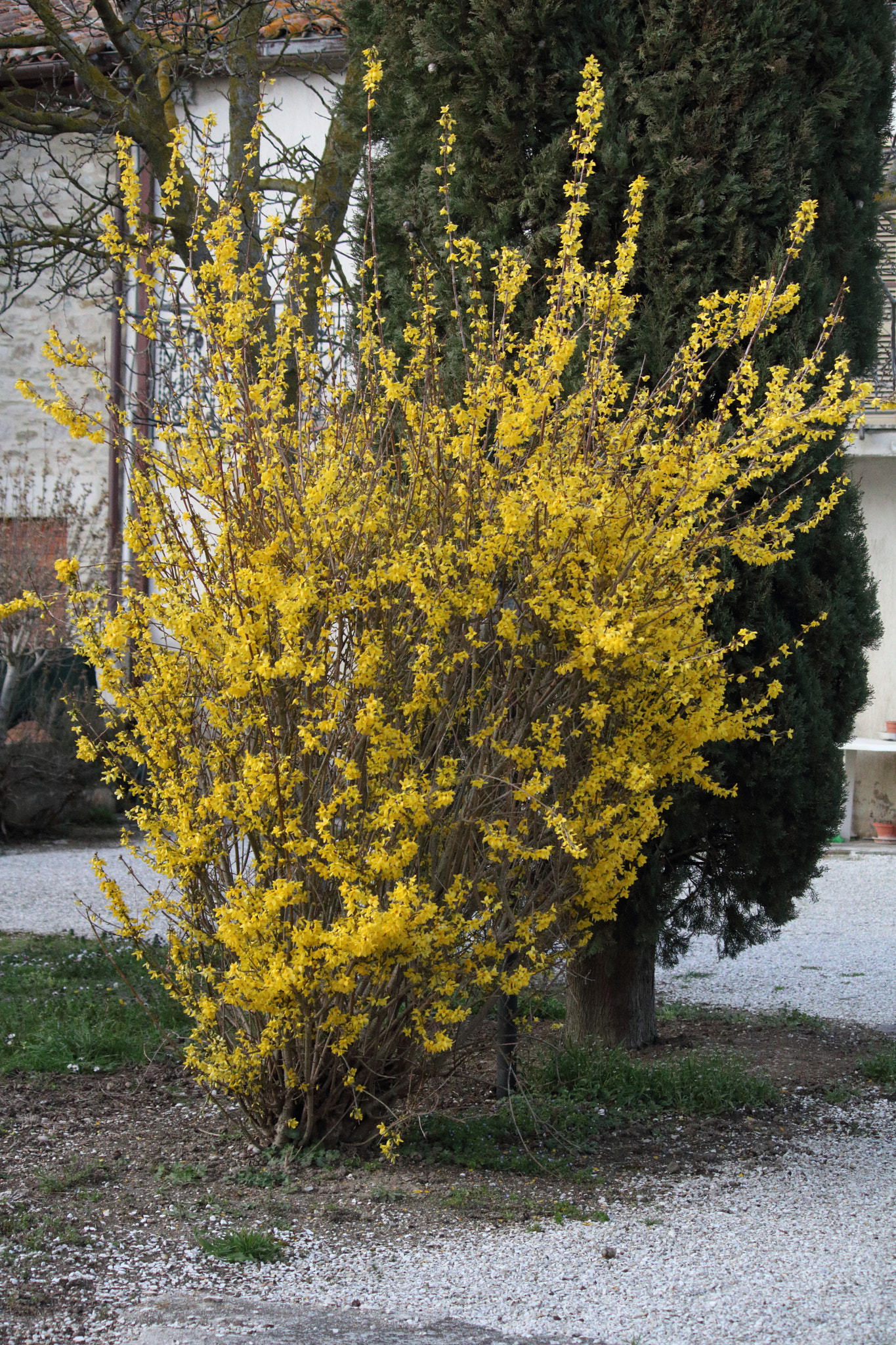 Canon EF-S 55-250mm F4-5.6 IS sample photo