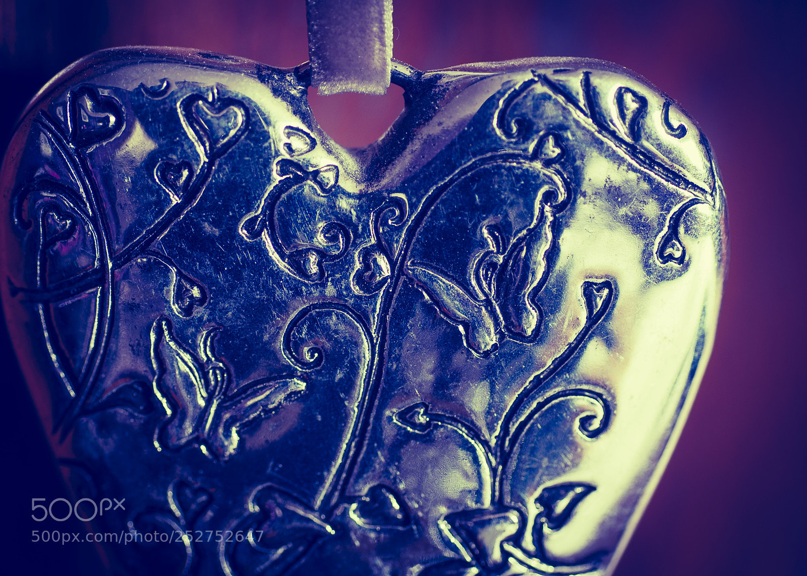 Nikon D90 sample photo. Have heart photography