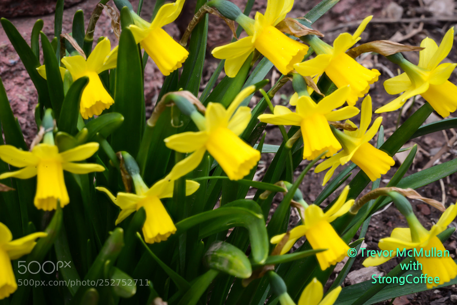 Nikon D800 sample photo. The return of spring photography