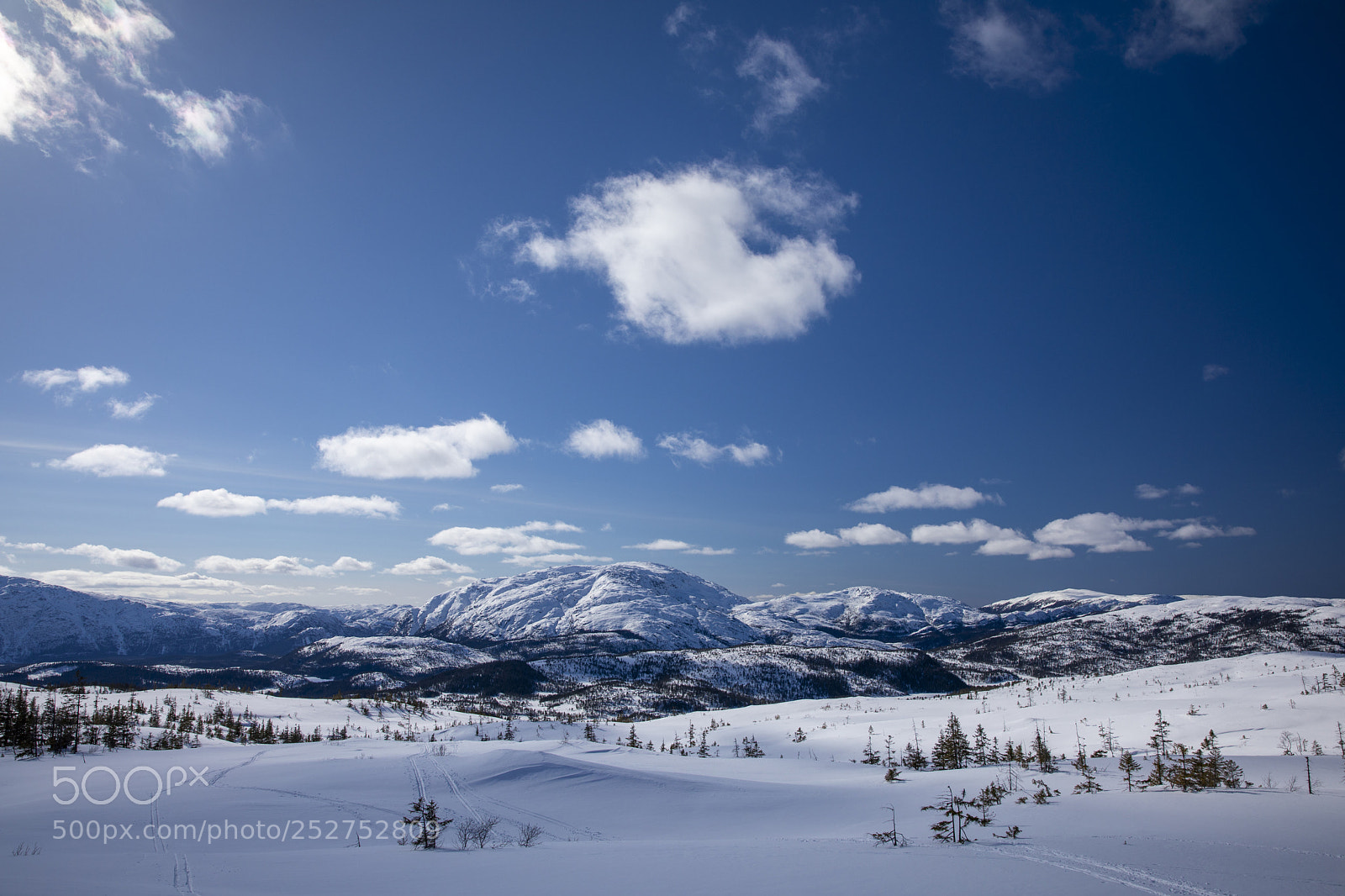 Canon EOS 5D Mark IV sample photo. Winterlandscape photography