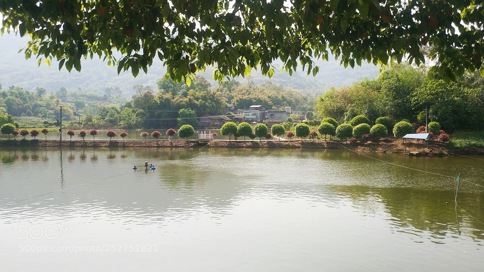 Xiaomi MIX 2 sample photo. Untitled photography