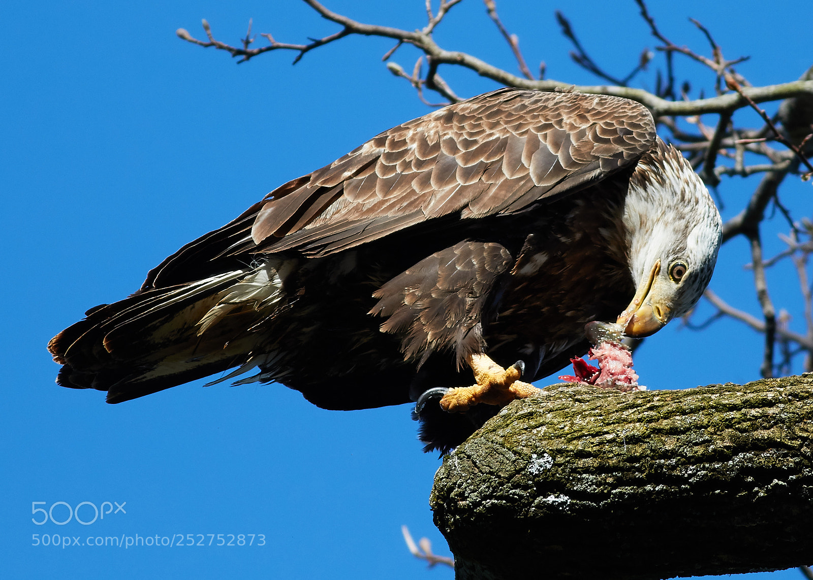 Canon EOS 7D Mark II sample photo. Fishing photography