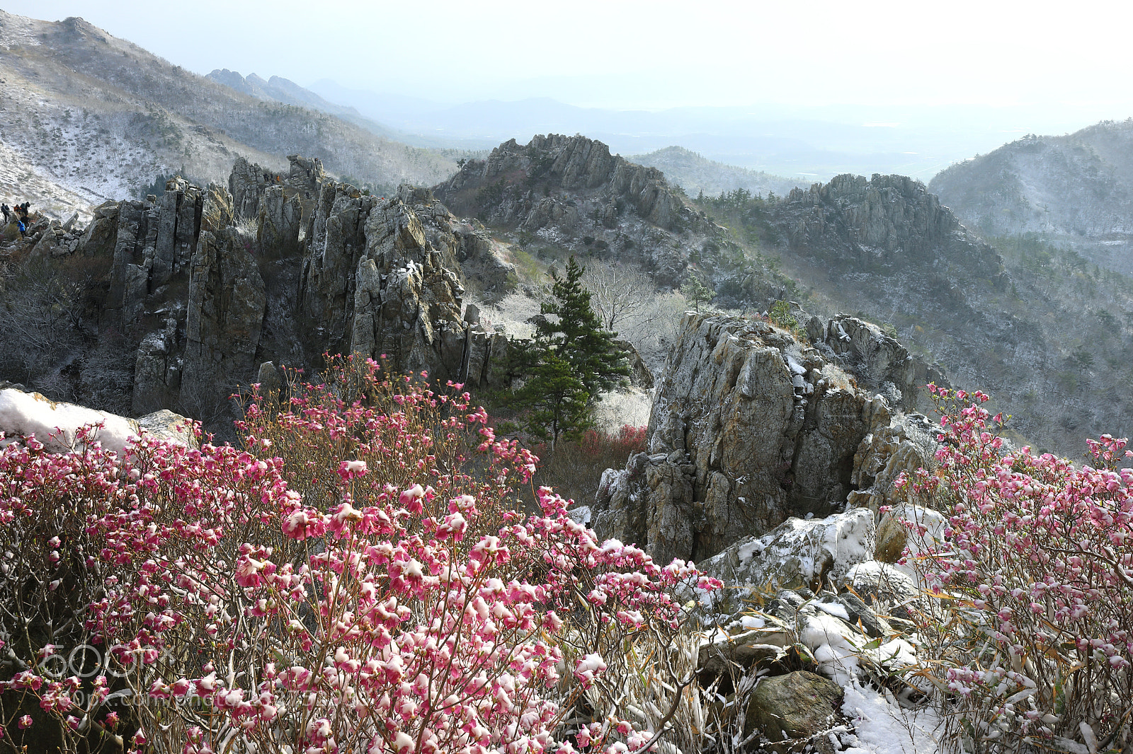 Canon EOS 5D Mark IV sample photo. Jujak mountain photography