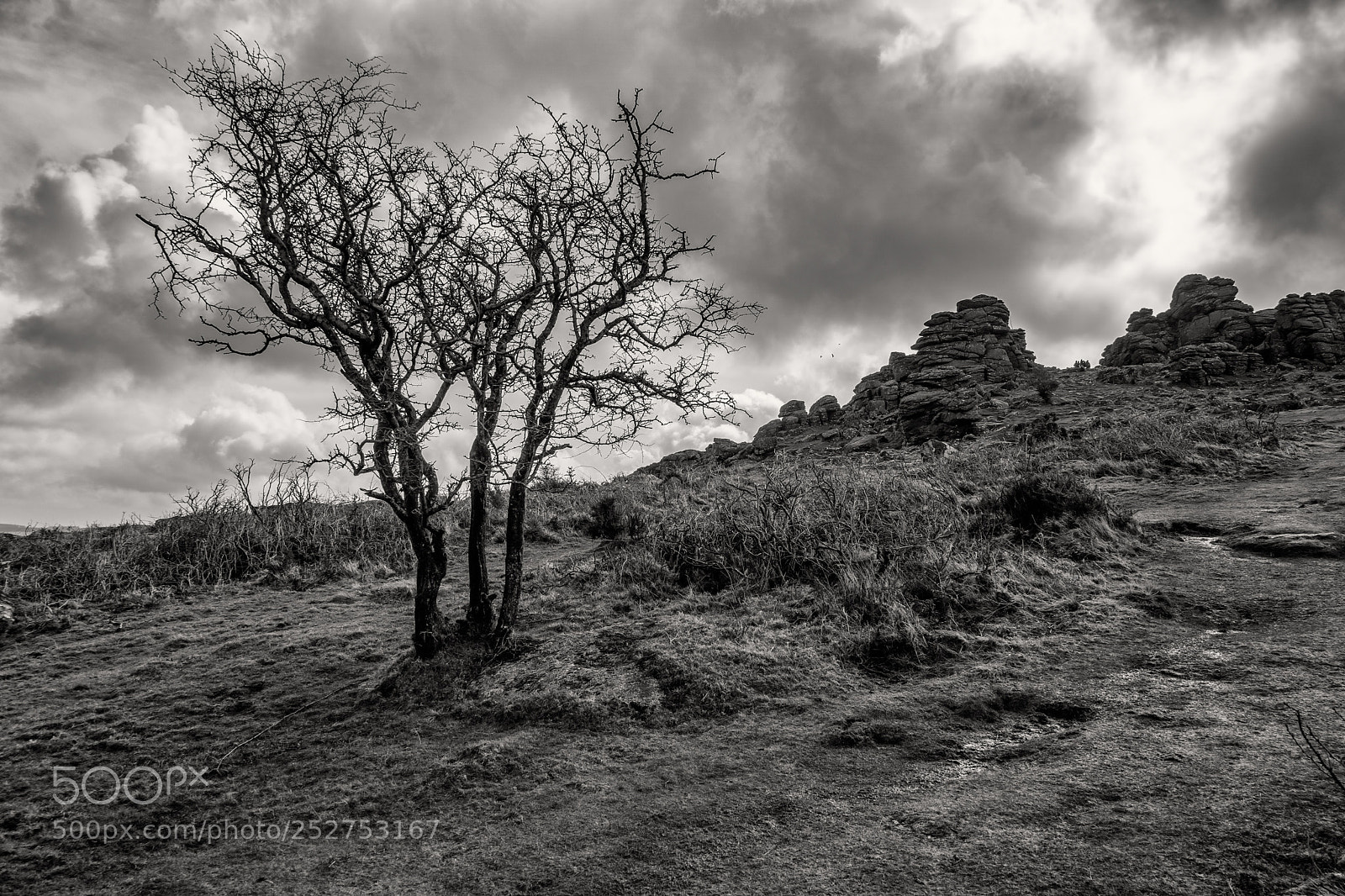 Sony a6000 sample photo. Hound tor, dartmoor photography