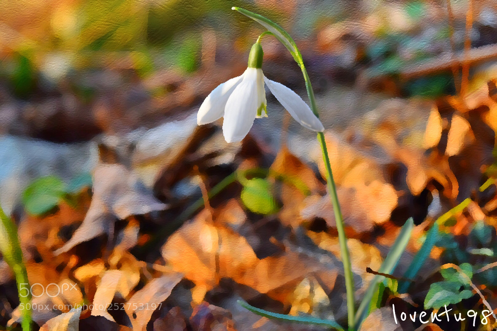 Nikon D5500 sample photo. Img photography