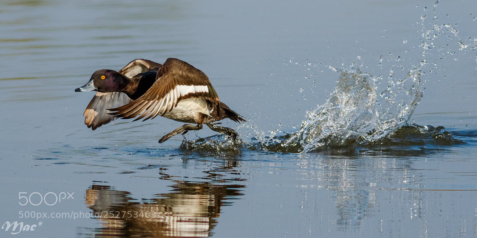 Canon EOS 7D Mark II sample photo. Making waves photography